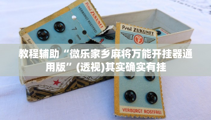 教程辅助“微乐家乡麻将万能开挂器通用版”(透视)其实确实有挂