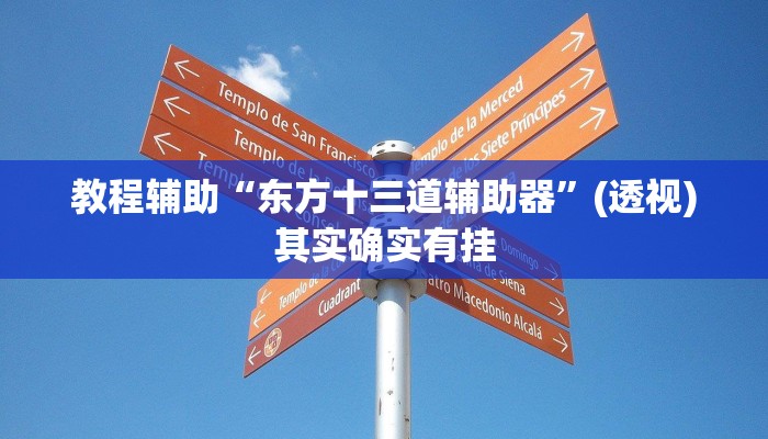 教程辅助“东方十三道辅助器”(透视)其实确实有挂