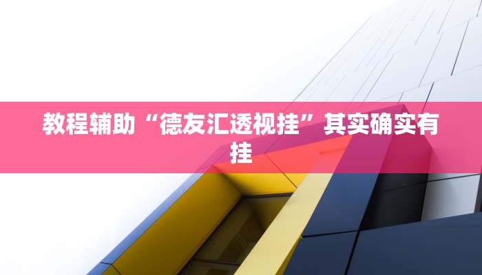 教程辅助“德友汇透视挂”其实确实有挂