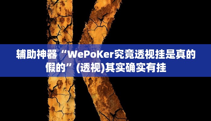 辅助神器“WePoKer究竟透视挂是真的假的”(透视)其实确实有挂