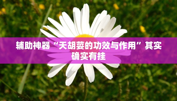 辅助神器“微乐江苏麻将怎么提高胜率”开挂(透视)辅助教程