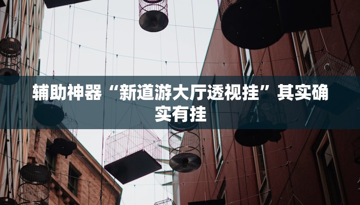 辅助神器“新道游大厅透视挂”其实确实有挂