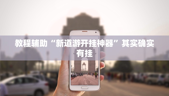 教程辅助“新道游开挂神器”其实确实有挂