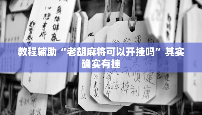 教程辅助“老胡麻将可以开挂吗”其实确实有挂