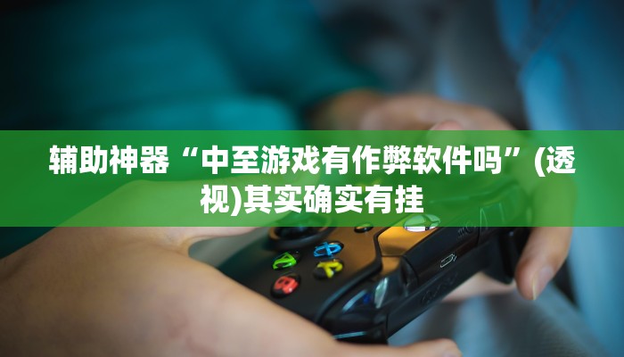 辅助神器“中至游戏有作弊软件吗”(透视)其实确实有挂