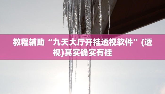 教程辅助“九天大厅开挂透视软件”(透视)其实确实有挂