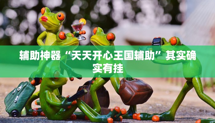 辅助神器“天天开心王国辅助”其实确实有挂