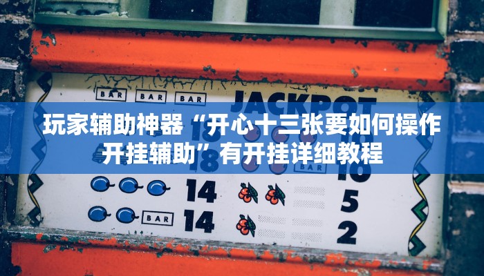 玩家辅助神器“开心十三张要如何操作开挂辅助”有开挂详细教程