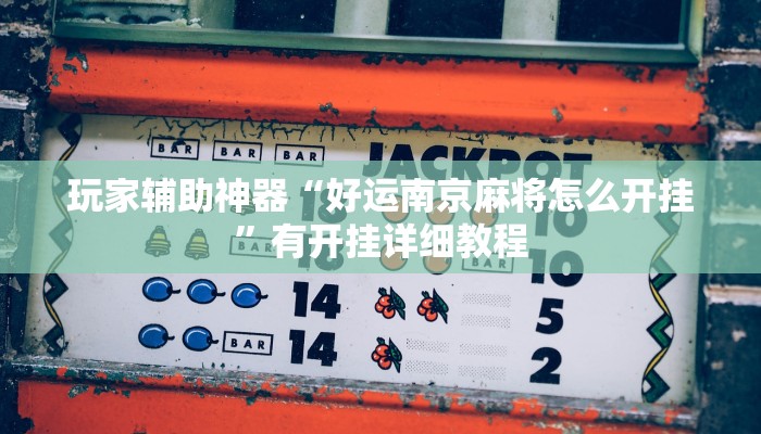 玩家辅助神器“好运南京麻将怎么开挂”有开挂详细教程