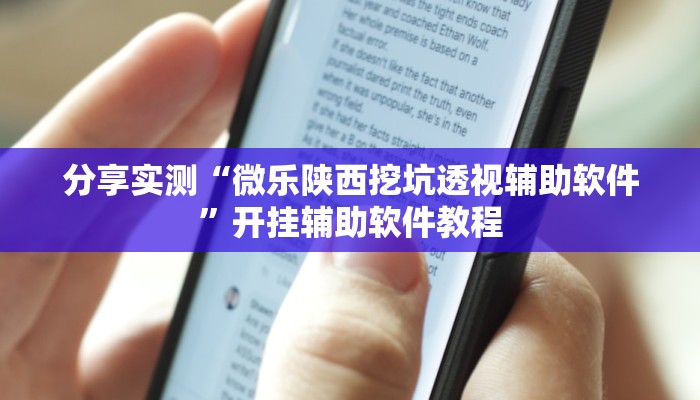 分享实测“微乐陕西挖坑透视辅助软件”开挂辅助软件教程