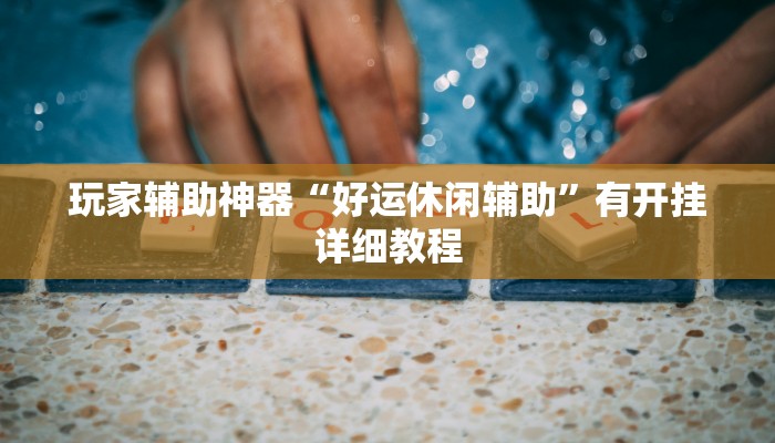 玩家辅助神器“好运休闲辅助”有开挂详细教程