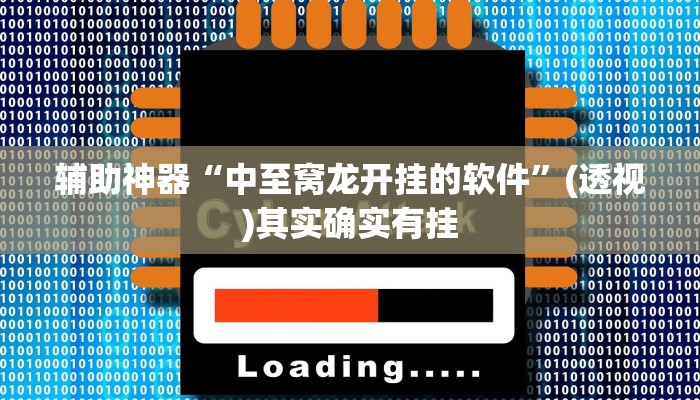 辅助神器“中至窝龙开挂的软件”(透视)其实确实有挂