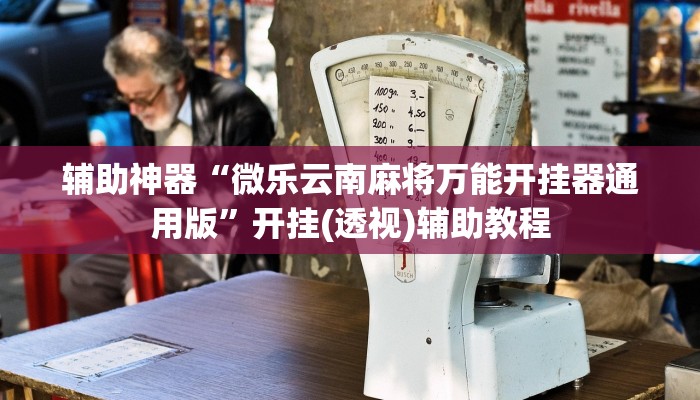 辅助神器“微乐云南麻将万能开挂器通用版”开挂(透视)辅助教程