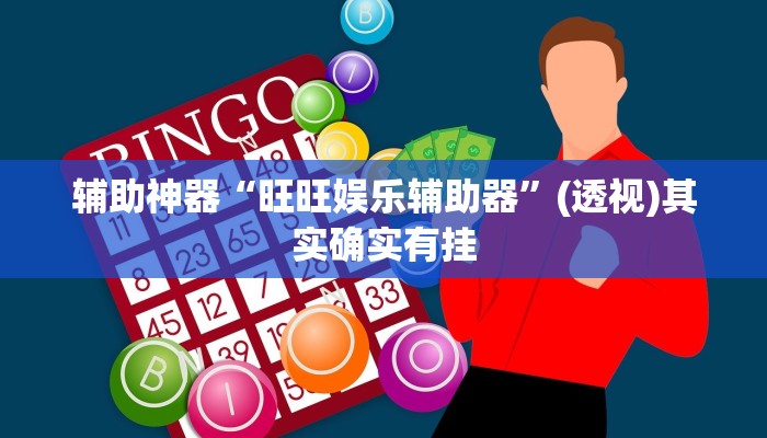 辅助神器“旺旺娱乐辅助器”(透视)其实确实有挂