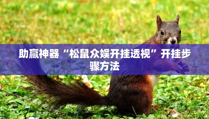 助赢神器“松鼠众娱开挂透视”开挂步骤方法