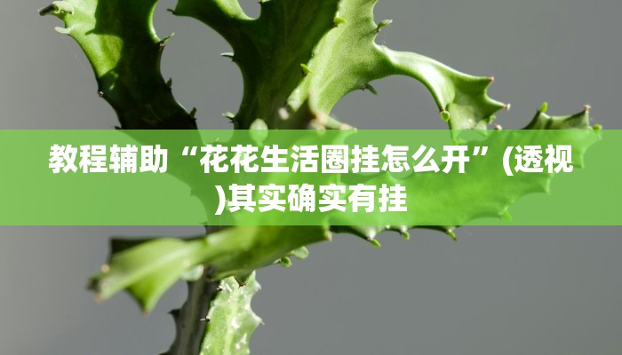 教程辅助“花花生活圈挂怎么开”(透视)其实确实有挂