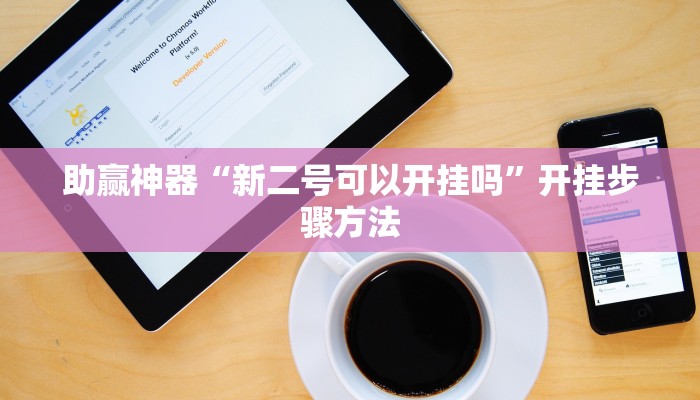 助赢神器“新二号可以开挂吗”开挂步骤方法