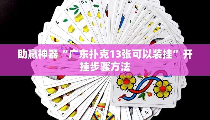 助赢神器“广东扑克13张可以装挂”开挂步骤方法