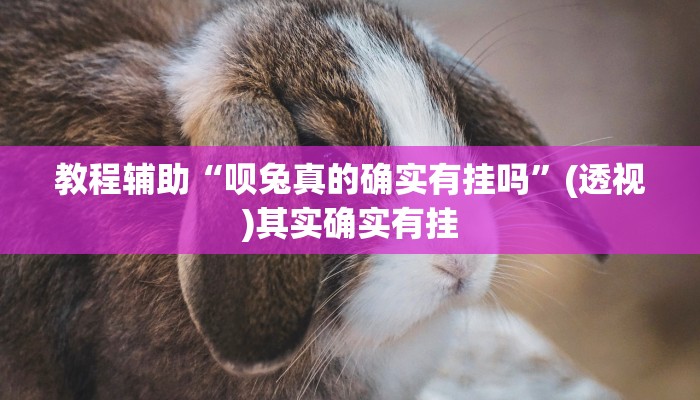 教程辅助“呗兔真的确实有挂吗”(透视)其实确实有挂