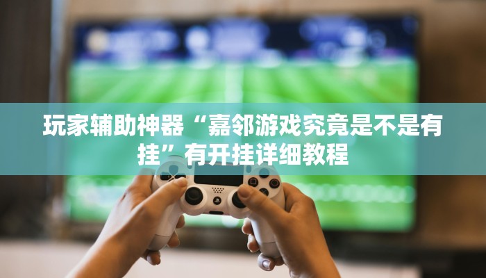 玩家辅助神器“嘉邻游戏究竟是不是有挂”有开挂详细教程