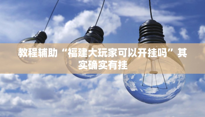 教程辅助“福建大玩家可以开挂吗”其实确实有挂