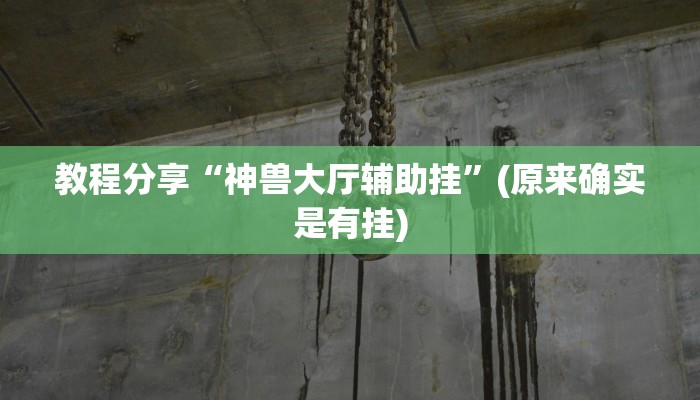 教程分享“神兽大厅辅助挂”(原来确实是有挂)