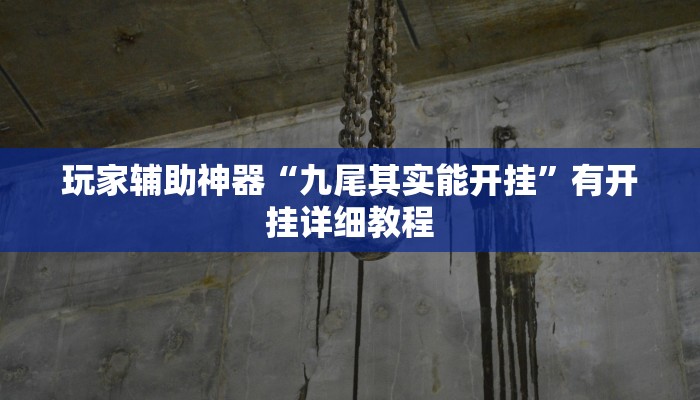 玩家辅助神器“九尾其实能开挂”有开挂详细教程