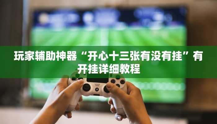 玩家辅助神器“开心十三张有没有挂”有开挂详细教程