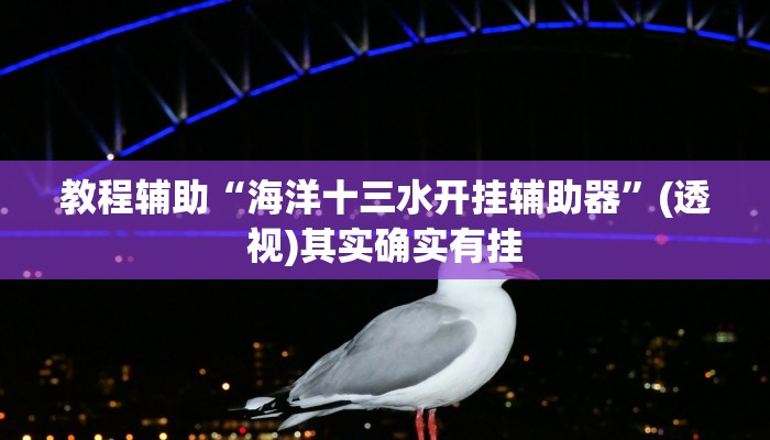 教程辅助“海洋十三水开挂辅助器”(透视)其实确实有挂