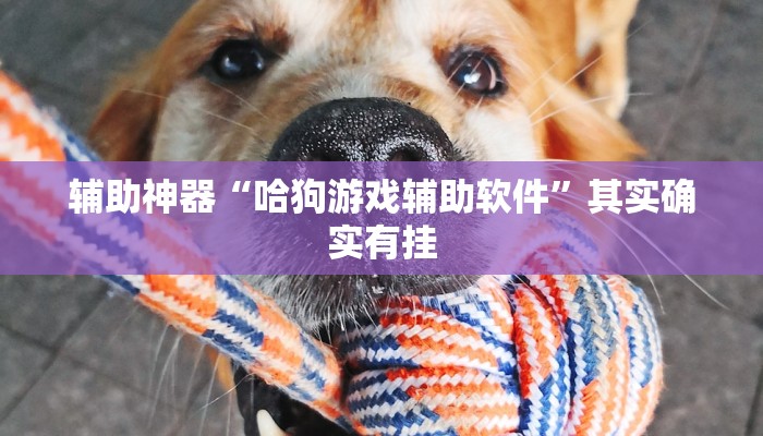 辅助神器“哈狗游戏辅助软件”其实确实有挂