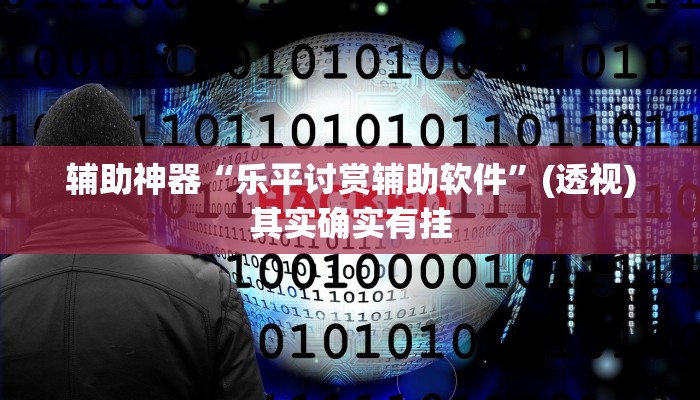 辅助神器“乐平讨赏辅助软件”(透视)其实确实有挂