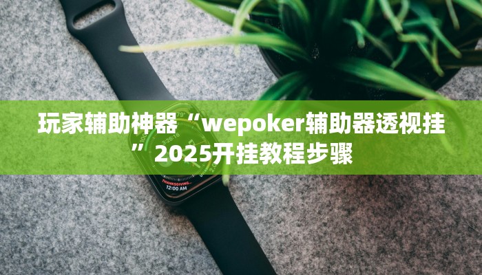 玩家辅助神器“wepoker辅助器透视挂”2025开挂教程步骤