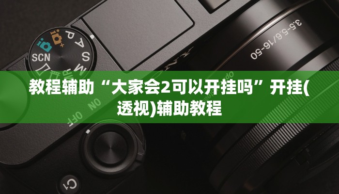 教程辅助“大家会2可以开挂吗”开挂(透视)辅助教程