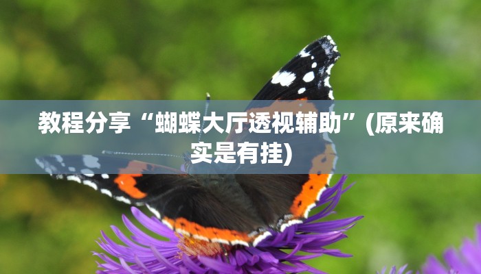 教程分享“蝴蝶大厅透视辅助”(原来确实是有挂)