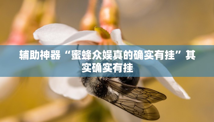 辅助神器“蜜蜂众娱真的确实有挂”其实确实有挂