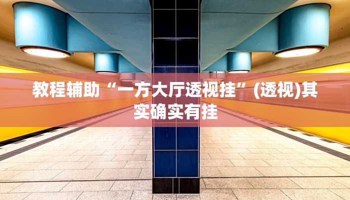 教程辅助“一方大厅透视挂”(透视)其实确实有挂