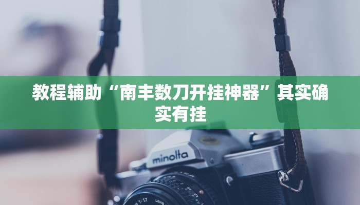 教程辅助“南丰数刀开挂神器”其实确实有挂