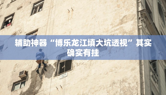 辅助神器“博乐龙江填大坑透视”其实确实有挂