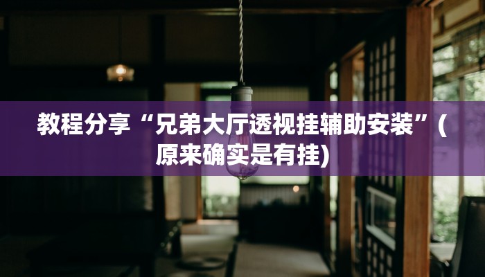 教程分享“兄弟大厅透视挂辅助安装”(原来确实是有挂)