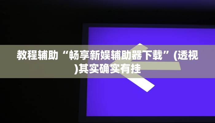 教程辅助“畅享新娱辅助器下载”(透视)其实确实有挂