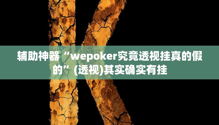 辅助神器“wepoker究竟透视挂真的假的”(透视)其实确实有挂