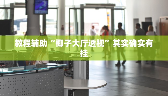 教程辅助“椰子大厅透视”其实确实有挂