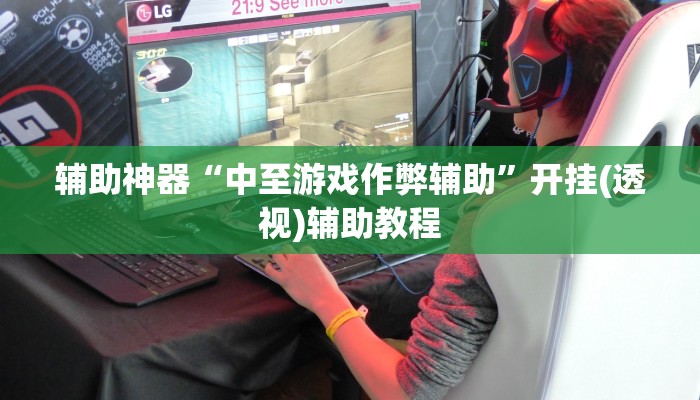 辅助神器“中至游戏作弊辅助”开挂(透视)辅助教程