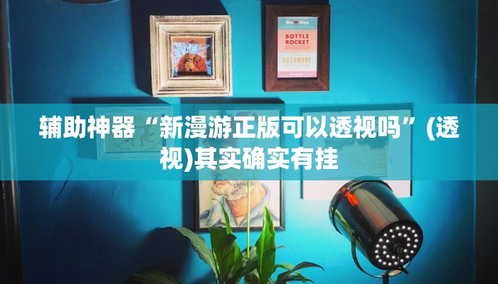 辅助神器“新漫游正版可以透视吗”(透视)其实确实有挂
