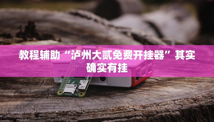 教程辅助“泸州大贰免费开挂器”其实确实有挂