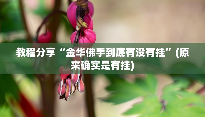 教程分享“金华佛手到底有没有挂”(原来确实是有挂)