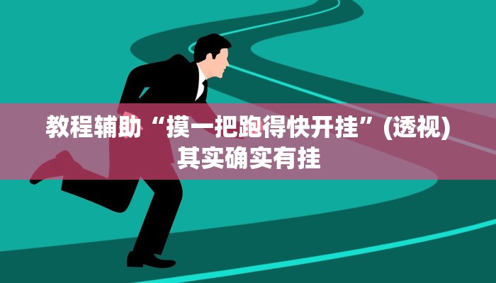 教程辅助“摸一把跑得快开挂”(透视)其实确实有挂