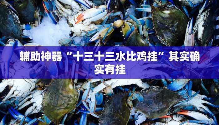 辅助神器“十三十三水比鸡挂”其实确实有挂