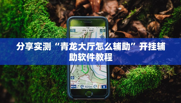 分享实测“青龙大厅怎么辅助”开挂辅助软件教程