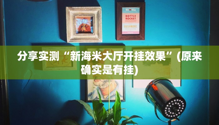 分享实测“新海米大厅开挂效果”(原来确实是有挂)